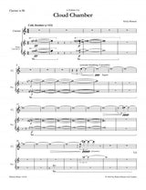 Howard: Cloud Chamber