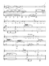 Bell: These Motley Fools