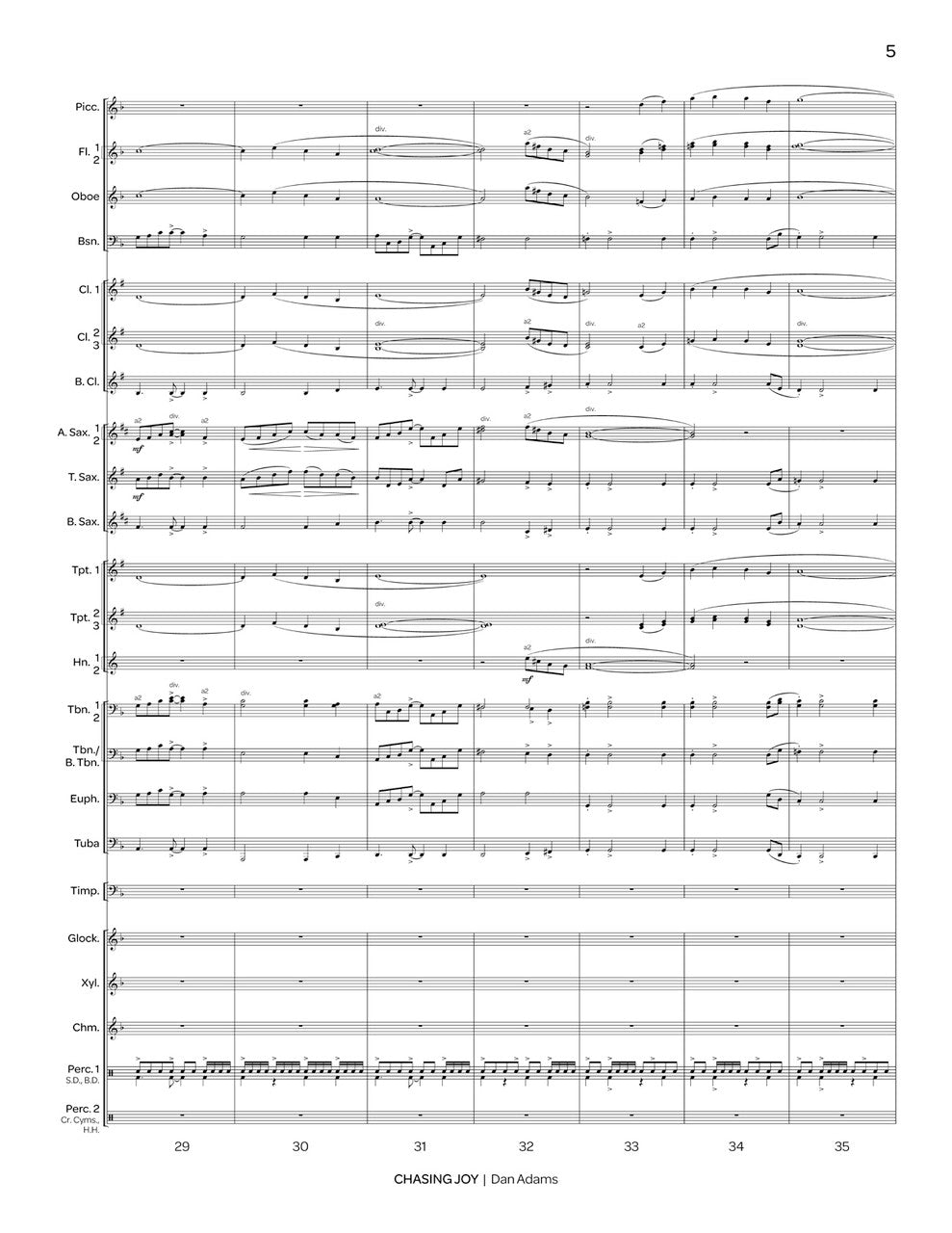 D. Adams: Chasing Joy