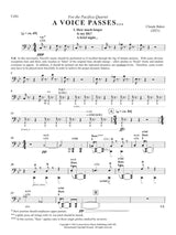 Cl. Baker: A Voice Passes