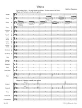 Smetana: Vltava (The Moldau)