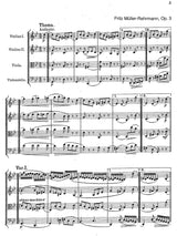 Müller-Rehrmann: Variations, Op. 3