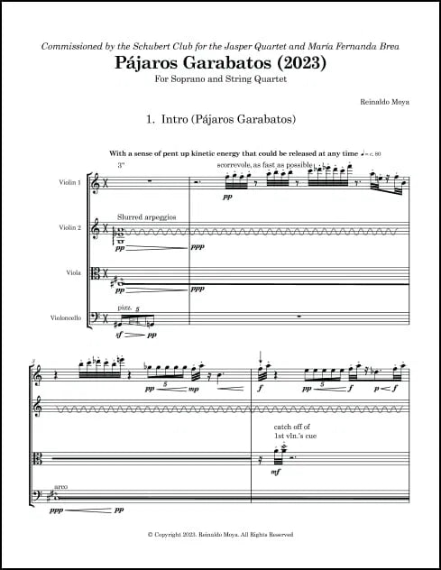 Moya: Pájaros Garabatos