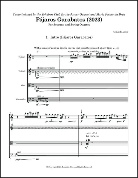 Moya: Pájaros Garabatos