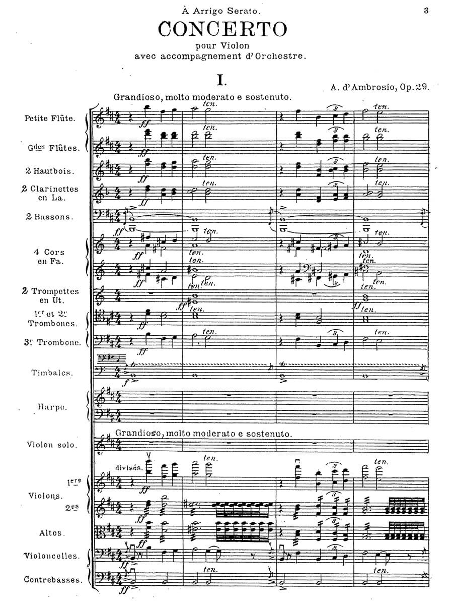 D'Ambrosio: Violin Concerto No. 1 in B Minor, Op. 29