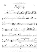 Ardizzoia: Divertimento, Op. 66