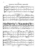 Bartók: Flute Trios
