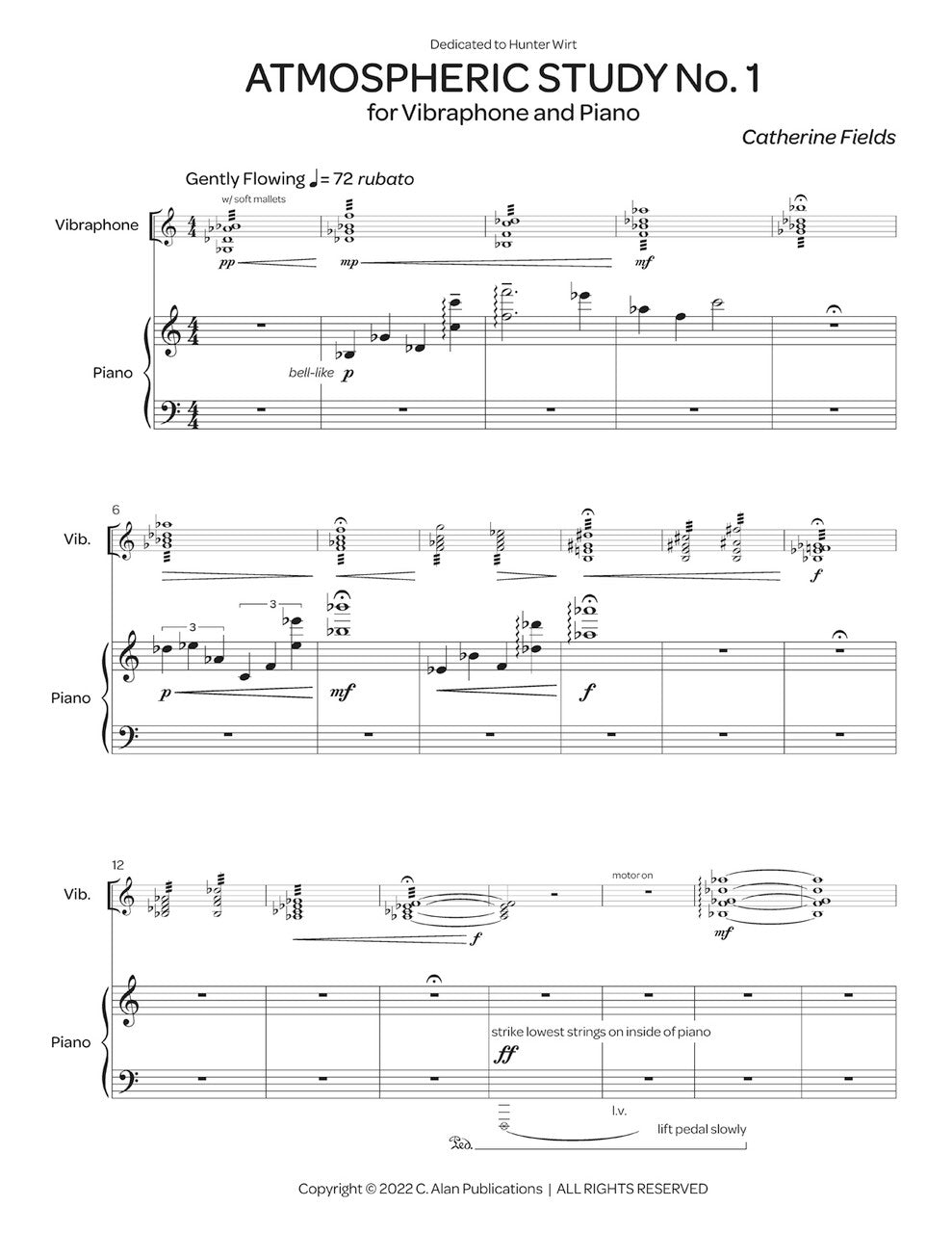 Fields: Atmospheric Study No. 1