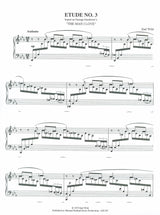 Wild: 7 Virtuoso Etudes based on Gershwin Songs