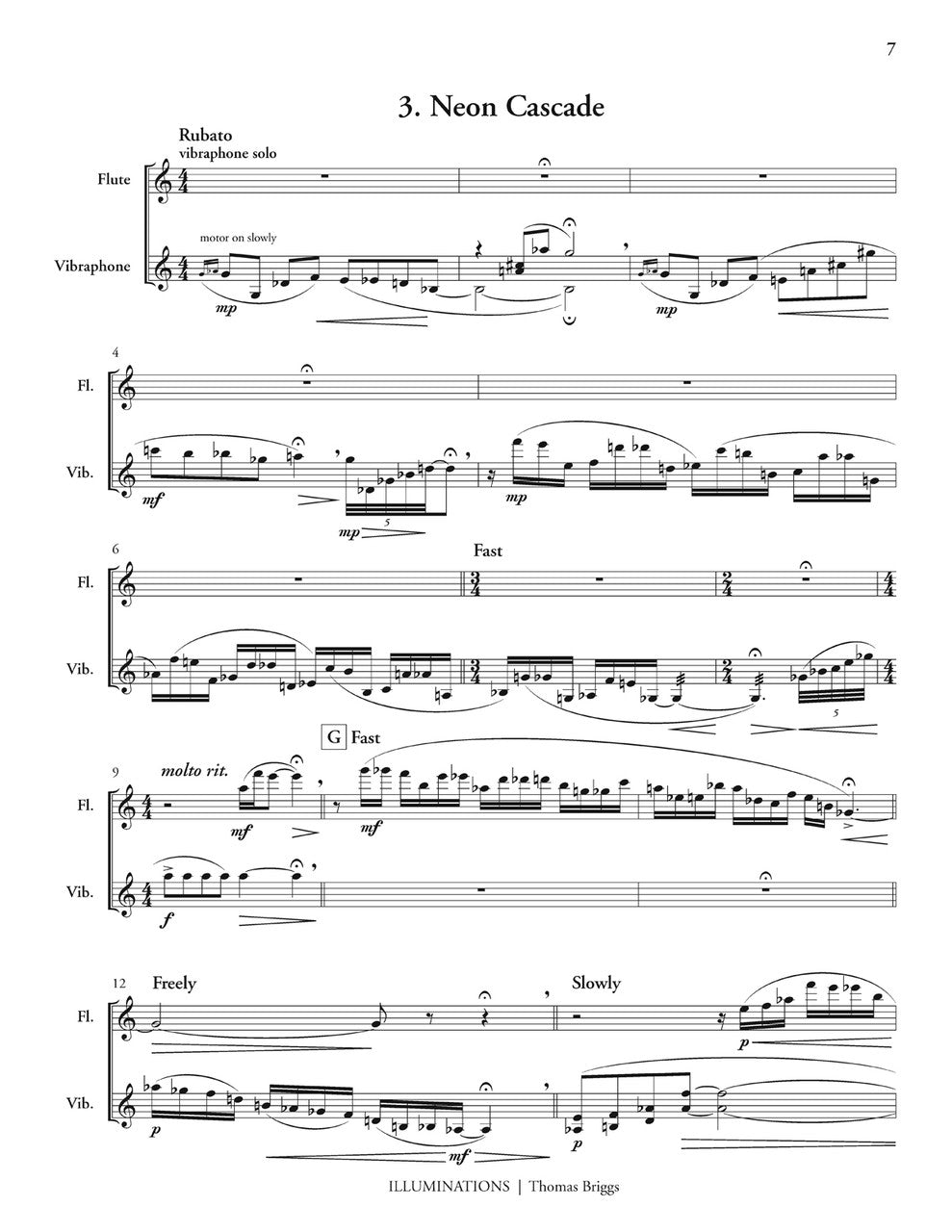 T. Briggs: Illuminations