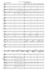 Ippolito: Violin Concerto