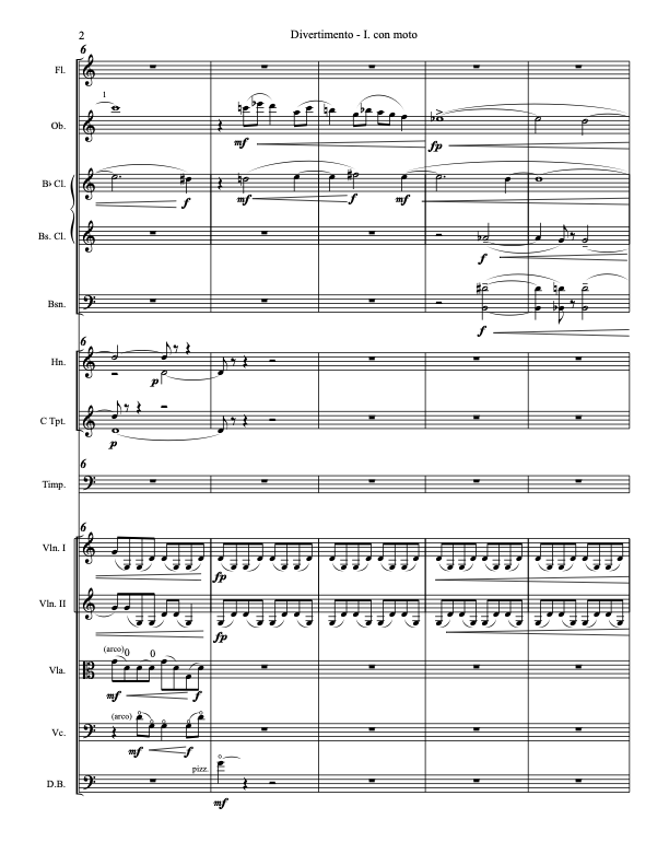 Ippolito: Divertimento for Chamber Orchestra