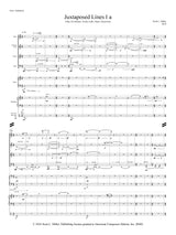 Miller: Juxtaposed Lines I a
