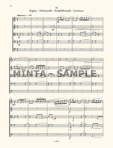 The Microcosm of String Ensemble Music - Volume 4 (Advanced)