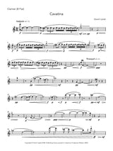 Liptak: Cavatina