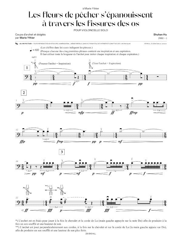 Hu: Les fleurs de pêcher s'épanouissent à travers les fissures des os