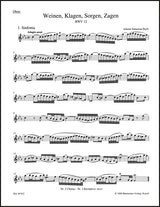 Bach: Weinen, Klagen, Sorgen, Zagen, BWV 12