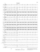 Flannigan: Street Spiders