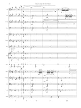 Sohn: Can you stop the time? (No) (Version for Chamber Orchestra)