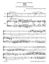 Dotzauer: Piano Trio in E Minor, Op. 180