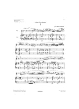 Damase: Flute Concerto