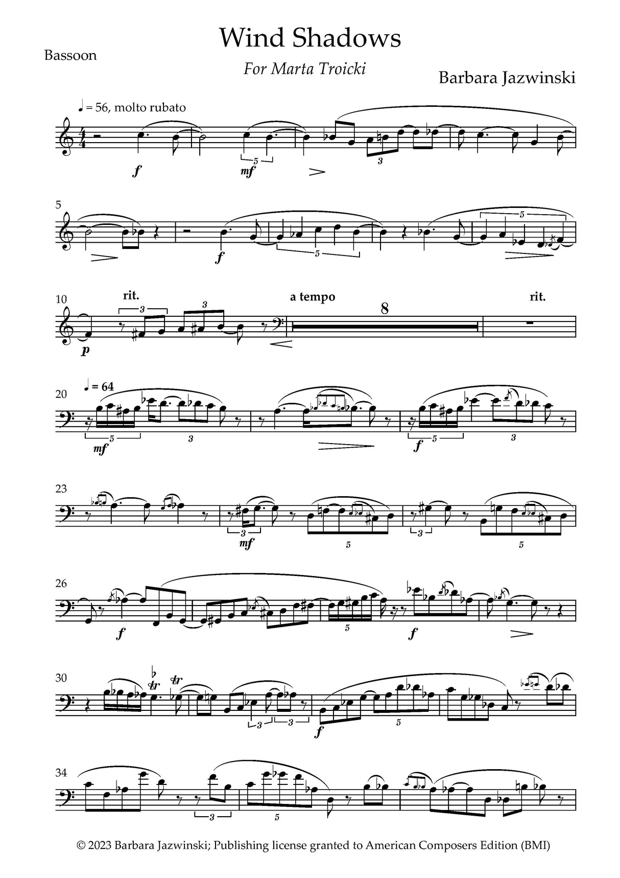 Jazwinski: Wind Shadows