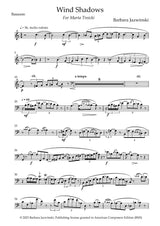 Jazwinski: Wind Shadows