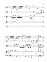 Karchin: Luminous Fields