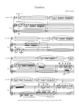 Liptak: Cavatina