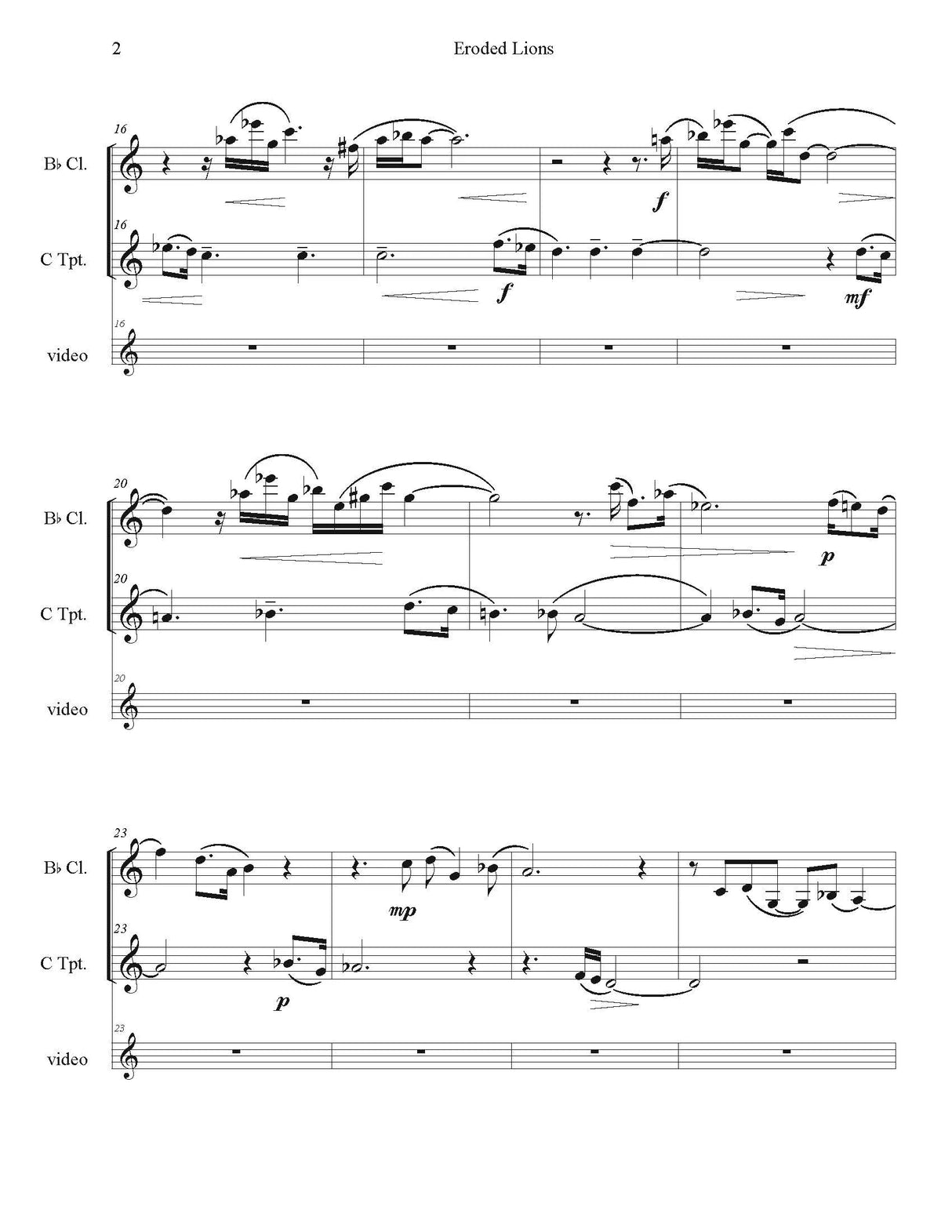 Wiemann: Eroded Lions