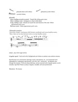 Lewis: String Quartet 4.5. "Partial Truth"