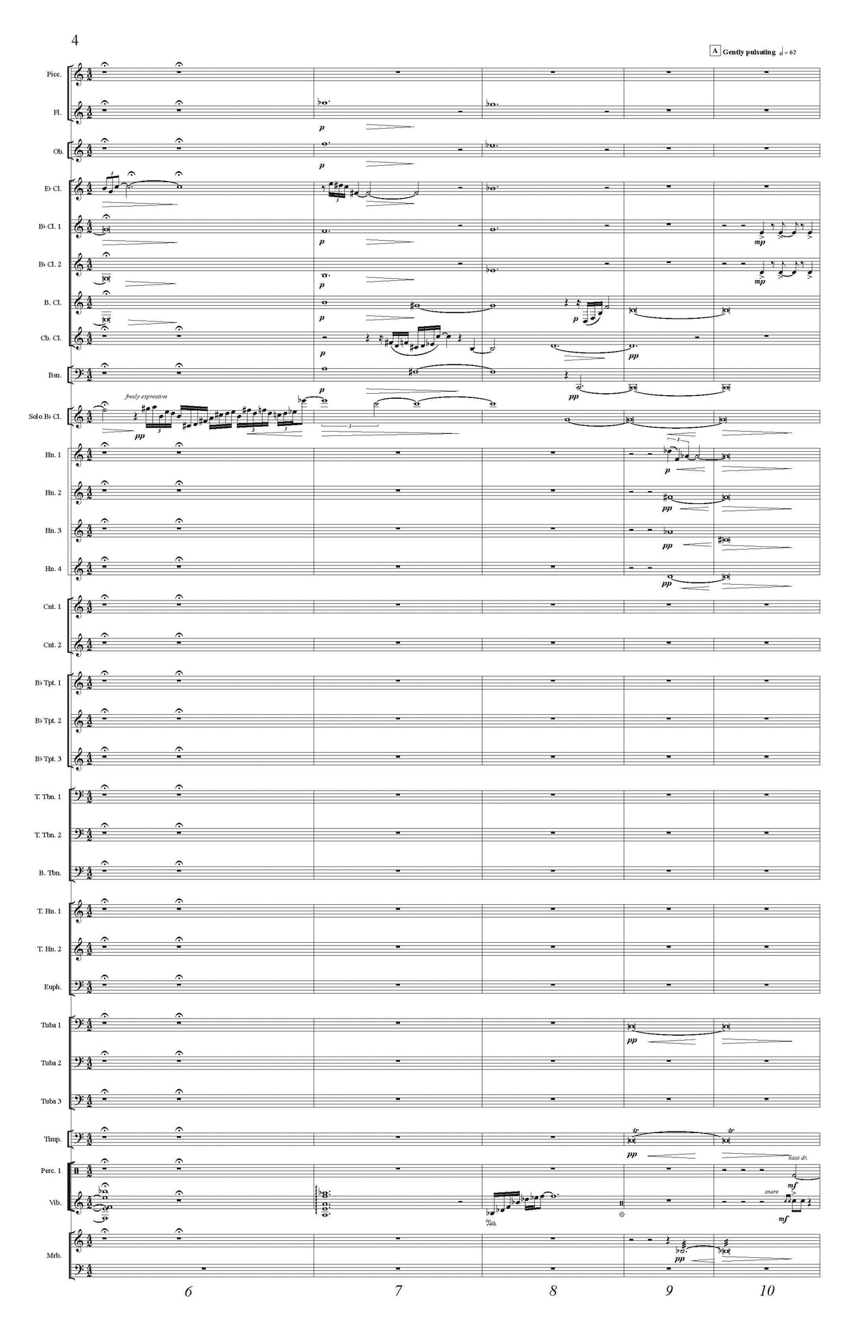 Smaldone: Murmurations - Concerto for Clarinet and Wind Orchestra