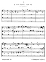 Schoenberg: 30 Canons