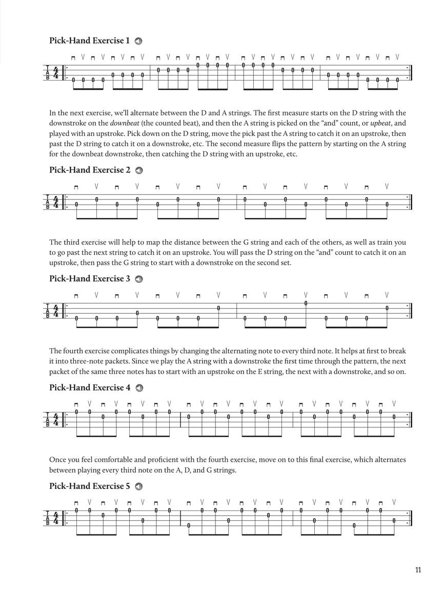 Do-It-Yourself Mandolin