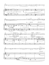 Schoenfeld: Nocturne