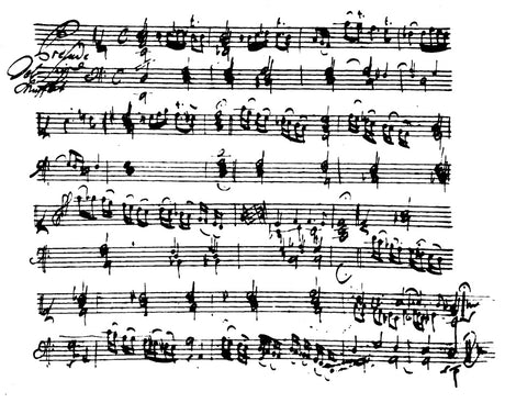 Muffat/Ebner: Complete Works for Keyboard (Organ) - Volume 1