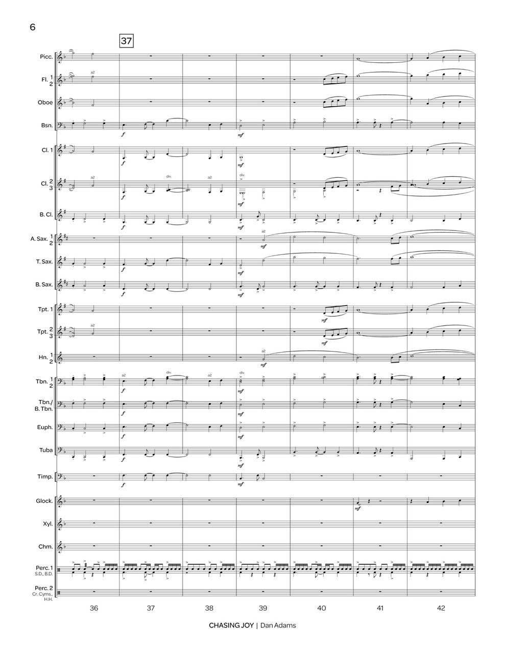 D. Adams: Chasing Joy