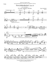 Stubblefield: Nová dobrodruzství, Op. 20