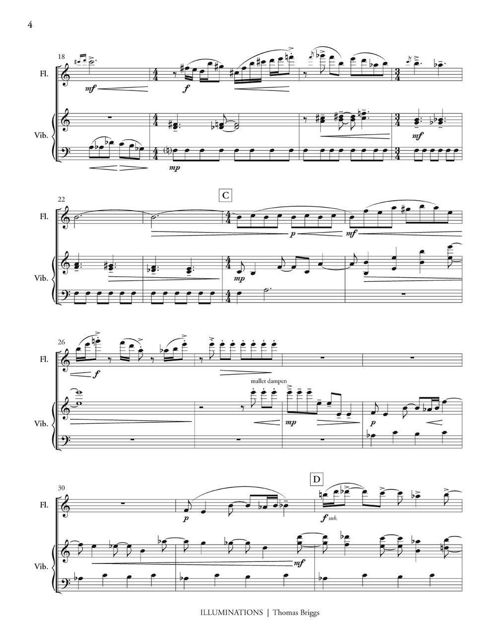 T. Briggs: Illuminations