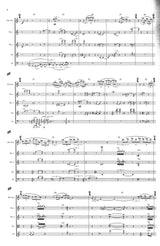 Sollberger: Thin Music / Thick Music