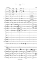 Weigl: Piano Concerto in F Minor, Op. 21