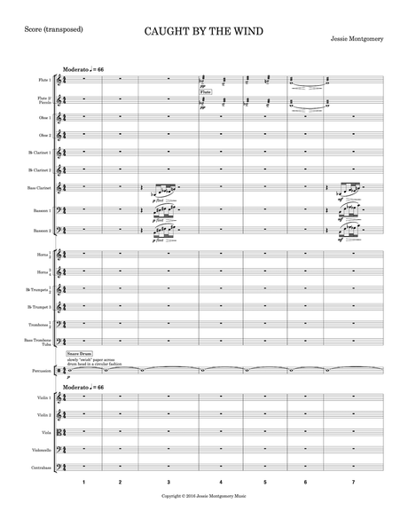 Montgomery: Caught by the Wind