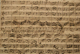 Bach: Concerti a Cembalo obligato, BWV 1052-1059