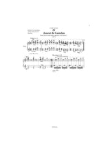 Stefanelli: Ombres chinoises