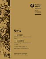 Bach: Flute Concerto in E Minor