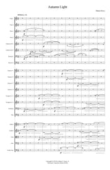 Howe: Autumn Light