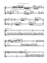 Trentadue: Of the Hummingbirds