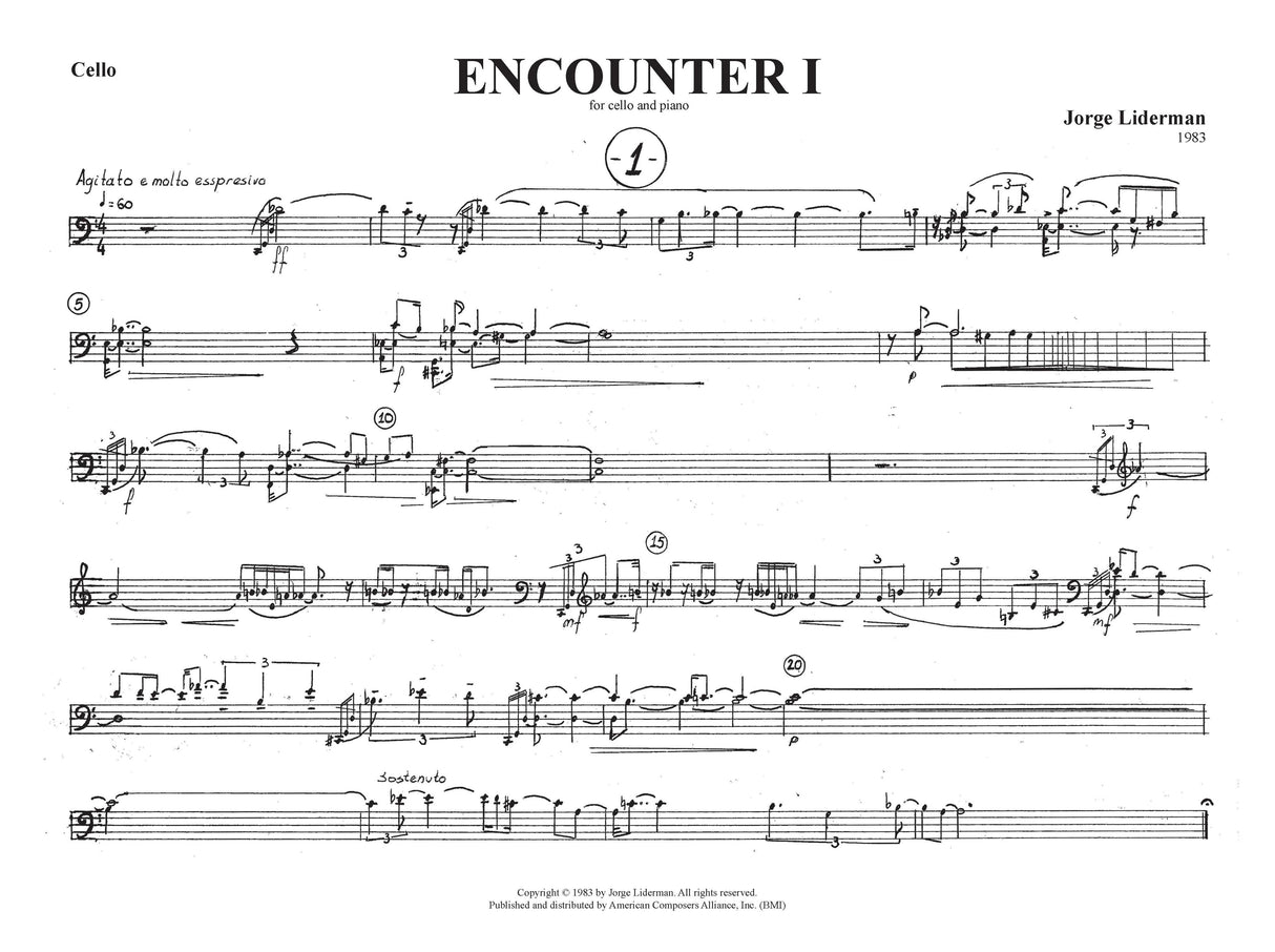 Liderman: Encounter No. 1