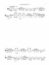 Rockmaker: Canons for Solo Viola