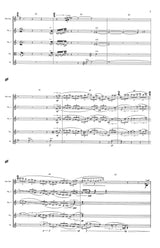 Sollberger: Thin Music / Thick Music